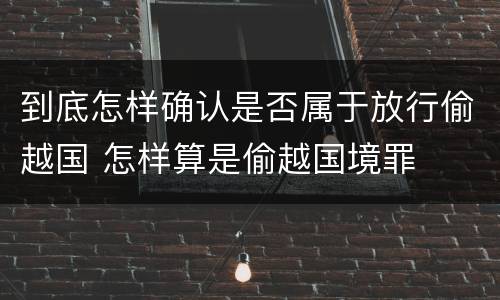 到底怎样确认是否属于放行偷越国 怎样算是偷越国境罪