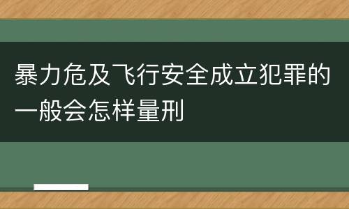 暴力危及飞行安全成立犯罪的一般会怎样量刑