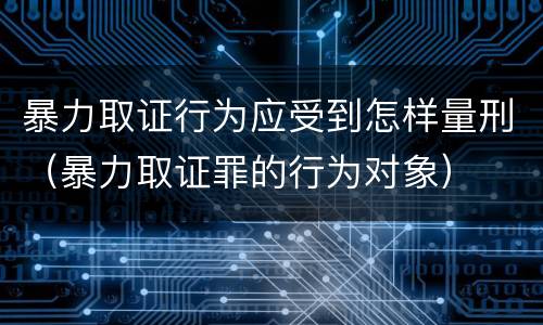 暴力取证行为应受到怎样量刑（暴力取证罪的行为对象）