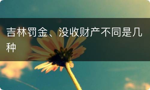 吉林罚金、没收财产不同是几种