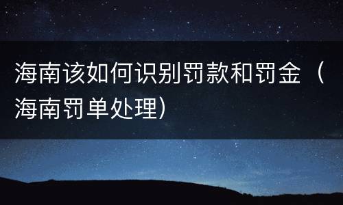 海南该如何识别罚款和罚金（海南罚单处理）