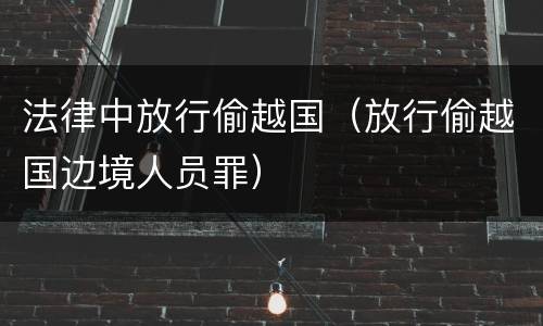 法律中放行偷越国（放行偷越国边境人员罪）