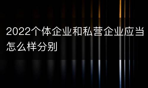 2022个体企业和私营企业应当怎么样分别