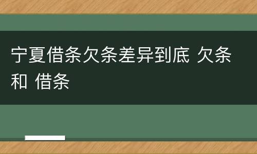 宁夏借条欠条差异到底 欠条 和 借条