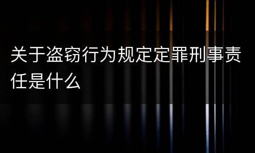 关于盗窃行为规定定罪刑事责任是什么