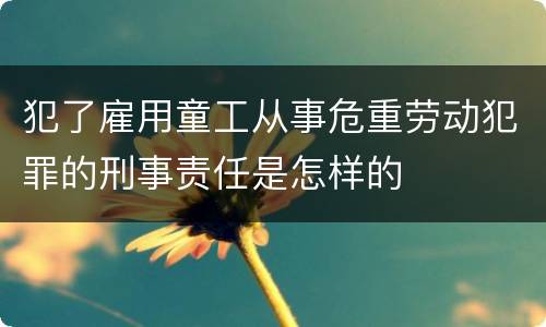 犯了雇用童工从事危重劳动犯罪的刑事责任是怎样的