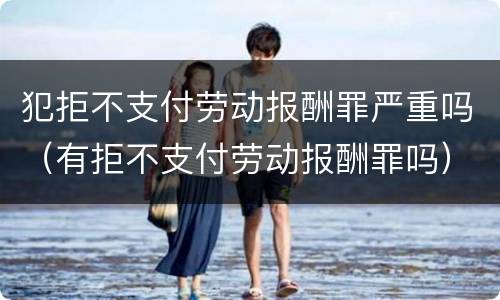 犯拒不支付劳动报酬罪严重吗（有拒不支付劳动报酬罪吗）