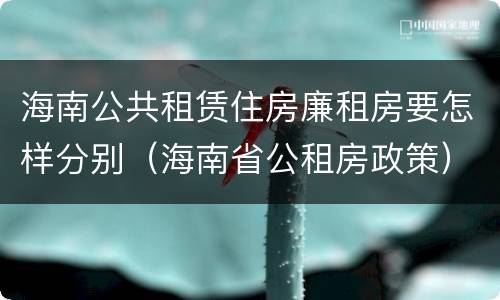 海南公共租赁住房廉租房要怎样分别（海南省公租房政策）