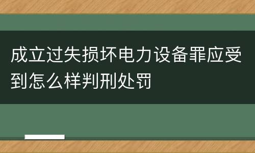 成立过失损坏电力设备罪应受到怎么样判刑处罚