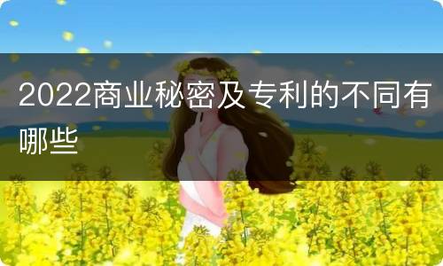 2022商业秘密及专利的不同有哪些
