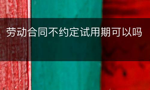 劳动合同不约定试用期可以吗