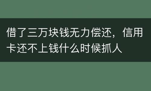 借了三万块钱无力偿还，信用卡还不上钱什么时候抓人