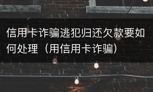 信用卡诈骗逃犯归还欠款要如何处理（用信用卡诈骗）