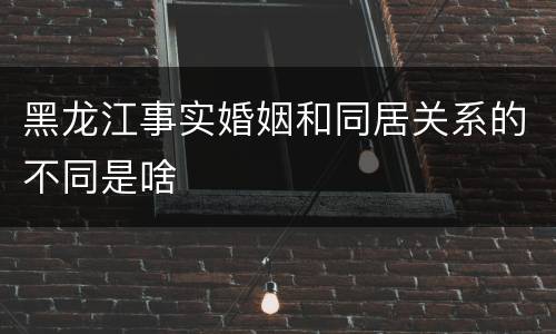 黑龙江事实婚姻和同居关系的不同是啥