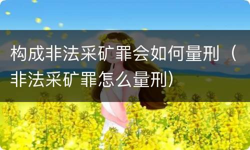 构成非法采矿罪会如何量刑（非法采矿罪怎么量刑）