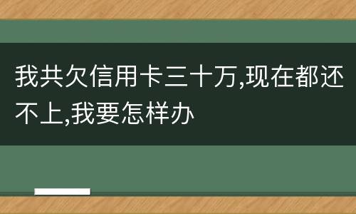 我共欠信用卡三十万,现在都还不上,我要怎样办