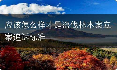 应该怎么样才是盗伐林木案立案追诉标准