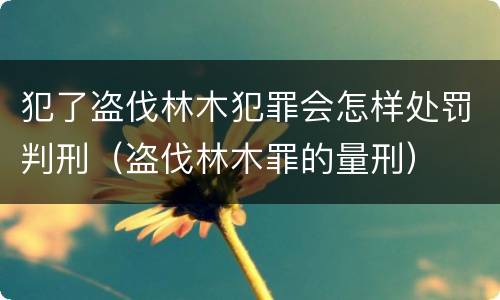 犯了盗伐林木犯罪会怎样处罚判刑（盗伐林木罪的量刑）