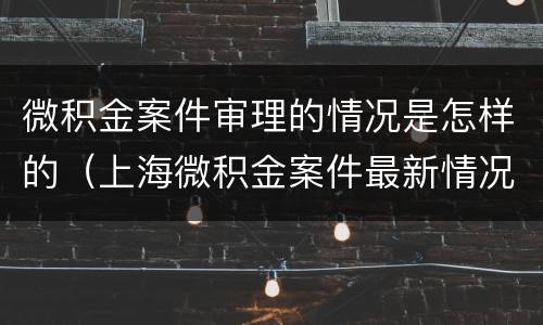 微积金案件审理的情况是怎样的（上海微积金案件最新情况）