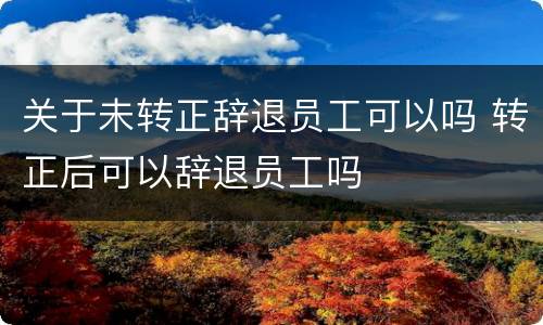 关于未转正辞退员工可以吗 转正后可以辞退员工吗