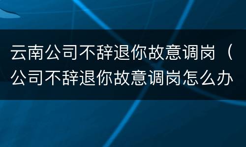 云南公司不辞退你故意调岗（公司不辞退你故意调岗怎么办）