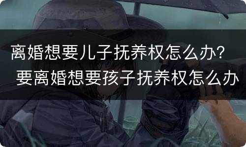 离婚想要儿子抚养权怎么办？ 要离婚想要孩子抚养权怎么办