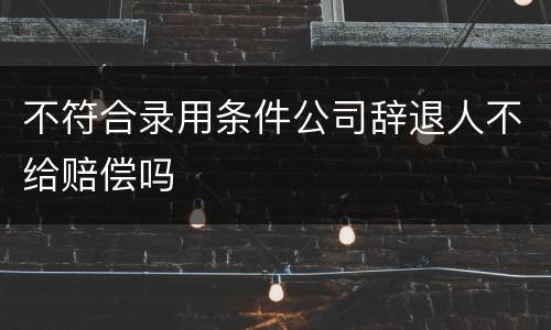 不符合录用条件公司辞退人不给赔偿吗