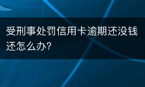 受刑事处罚信用卡逾期还没钱还怎么办？