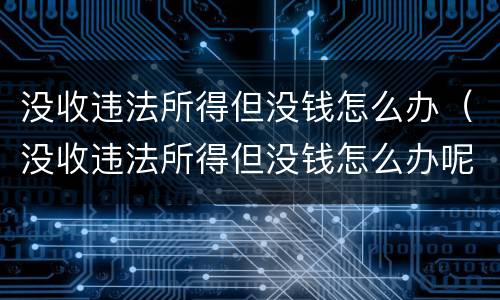 没收违法所得但没钱怎么办（没收违法所得但没钱怎么办呢）