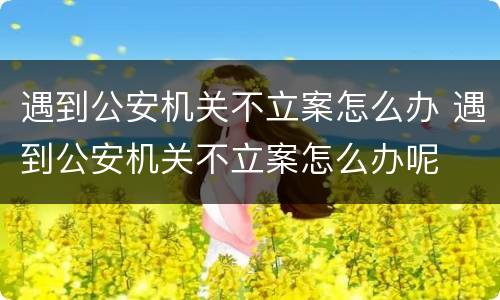 遇到公安机关不立案怎么办 遇到公安机关不立案怎么办呢