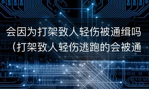 会因为打架致人轻伤被通缉吗（打架致人轻伤逃跑的会被通缉吗）