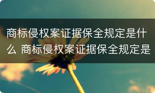 商标侵权案证据保全规定是什么 商标侵权案证据保全规定是什么意思