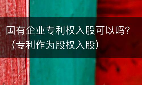 国有企业专利权入股可以吗？（专利作为股权入股）