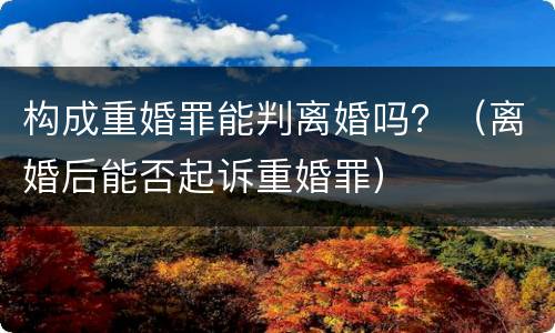 构成重婚罪能判离婚吗？（离婚后能否起诉重婚罪）