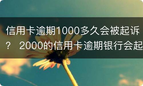 信用卡逾期1000多久会被起诉？ 2000的信用卡逾期银行会起诉吗