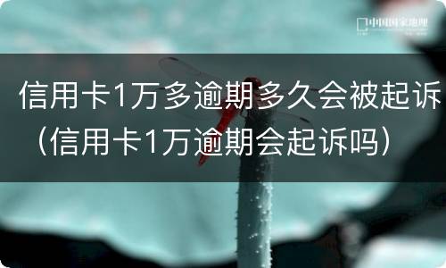 信用卡1万多逾期多久会被起诉（信用卡1万逾期会起诉吗）