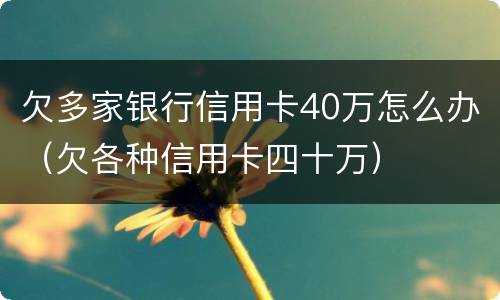欠多家银行信用卡40万怎么办（欠各种信用卡四十万）