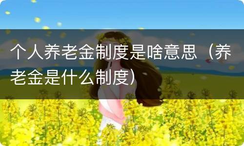 个人养老金制度是啥意思（养老金是什么制度）