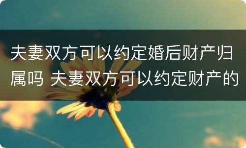 夫妻双方可以约定婚后财产归属吗 夫妻双方可以约定财产的归属吗