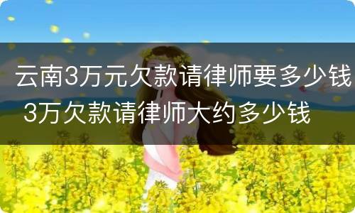 云南3万元欠款请律师要多少钱 3万欠款请律师大约多少钱