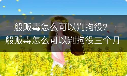 一般贩毒怎么可以判拘役？ 一般贩毒怎么可以判拘役三个月