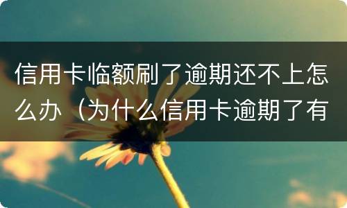 信用卡临额刷了逾期还不上怎么办（为什么信用卡逾期了有额度刷不出来）