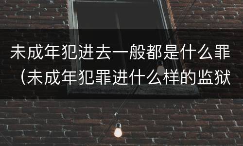 未成年犯进去一般都是什么罪（未成年犯罪进什么样的监狱）