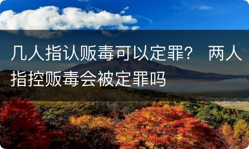 几人指认贩毒可以定罪？ 两人指控贩毒会被定罪吗