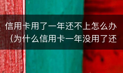 信用卡用了一年还不上怎么办（为什么信用卡一年没用了还有还款呢）