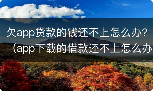欠app贷款的钱还不上怎么办？（app下载的借款还不上怎么办）