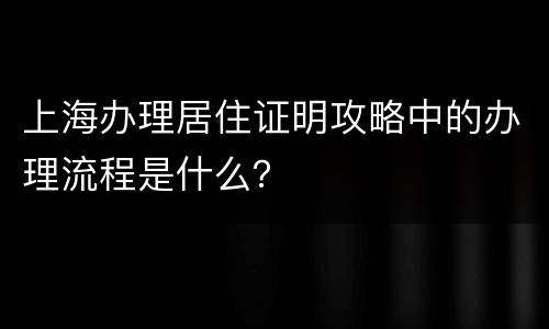 上海办理居住证明攻略中的办理流程是什么？