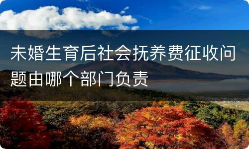 未婚生育后社会抚养费征收问题由哪个部门负责