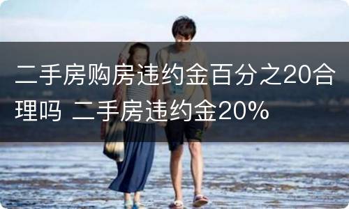 二手房购房违约金百分之20合理吗 二手房违约金20%
