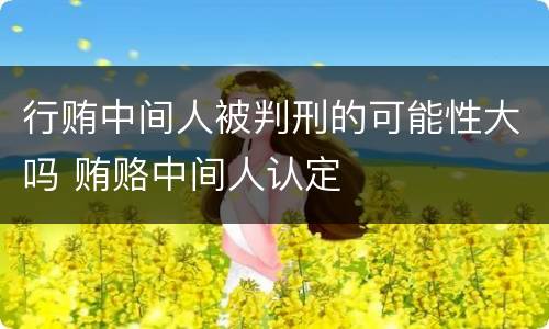 行贿中间人被判刑的可能性大吗 贿赂中间人认定